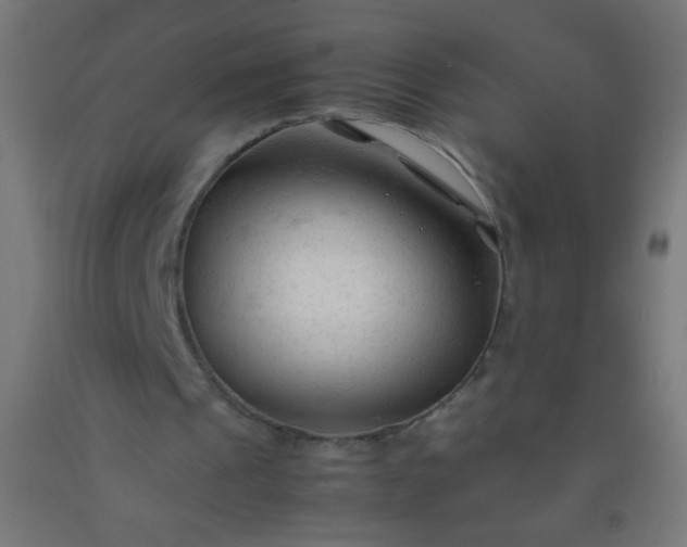 X0000092310241200709281352