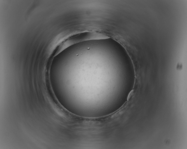 X0000092310242200709281352