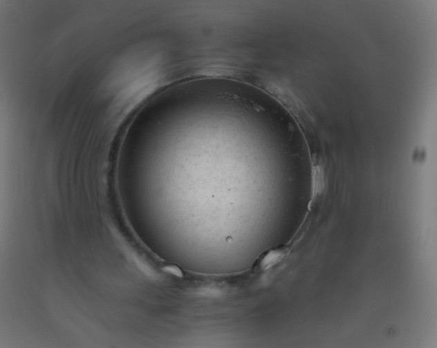 X0000092310243200709281352