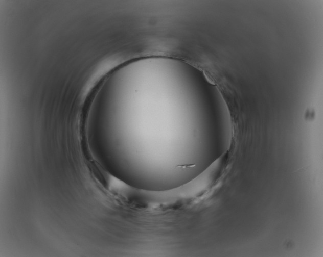 X0000092310244200709281352