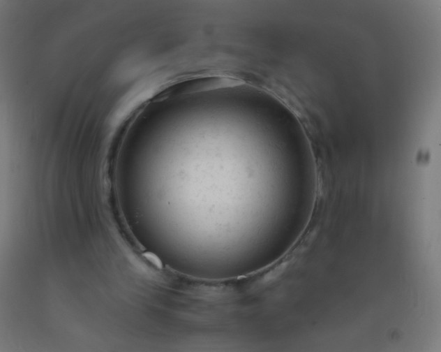 X0000092310245200709281352