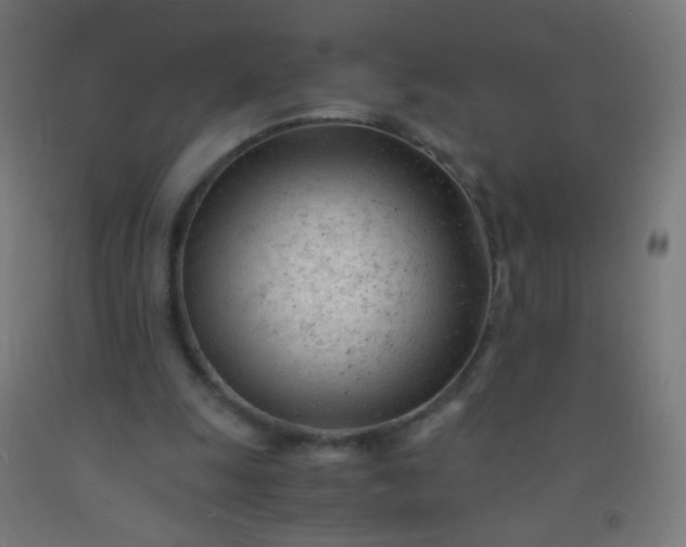 X0000092310247200709281352