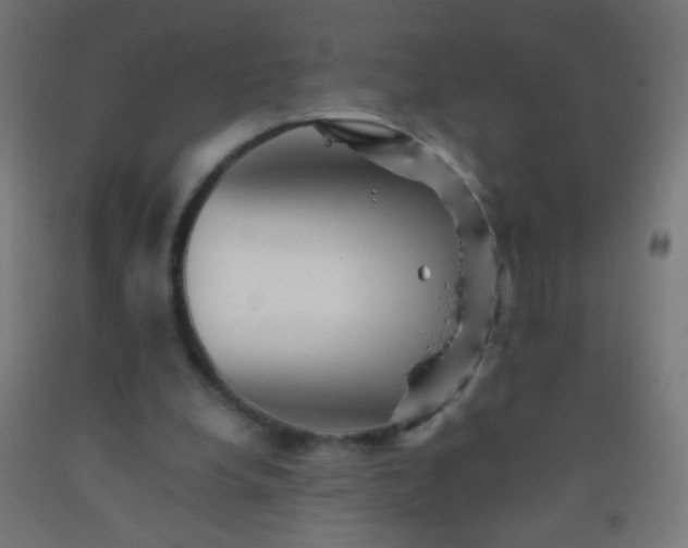 X0000092310248200709281352