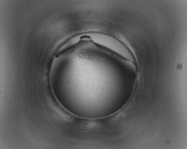 X0000092310249200709281352