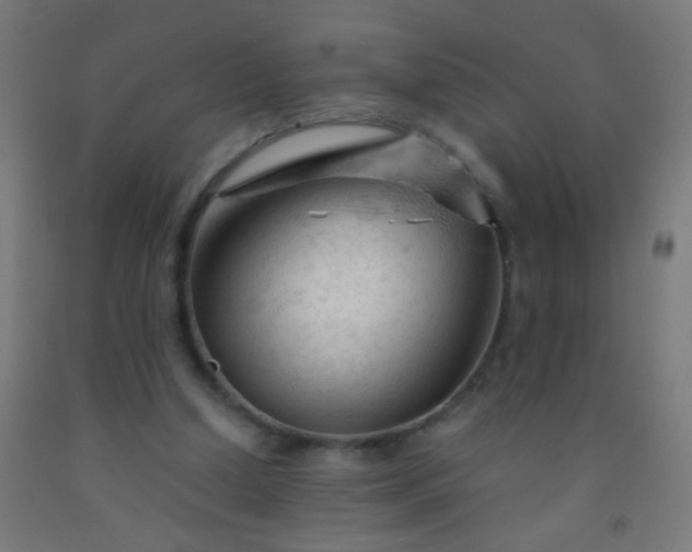 X0000092310250200709281352