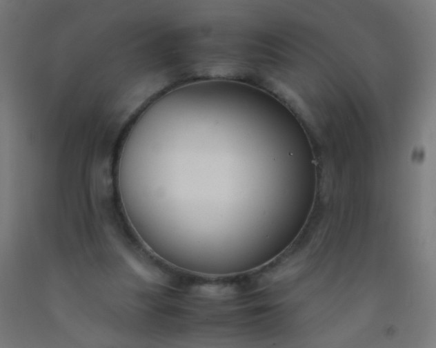 X0000092310251200709281352