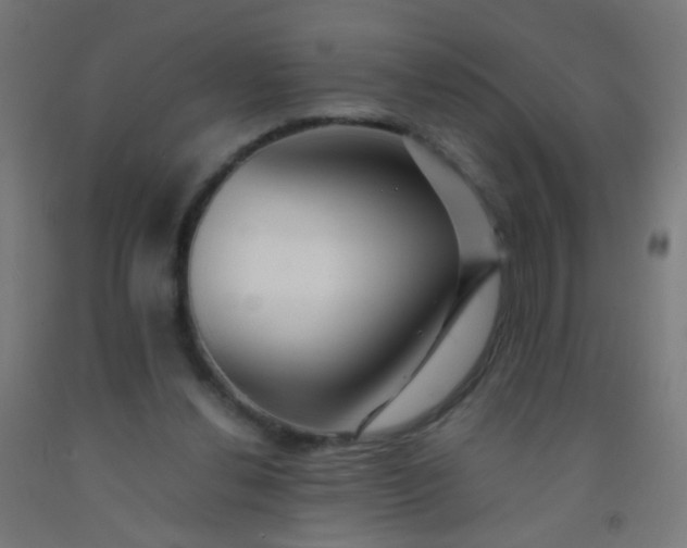 X0000092310252200709281352