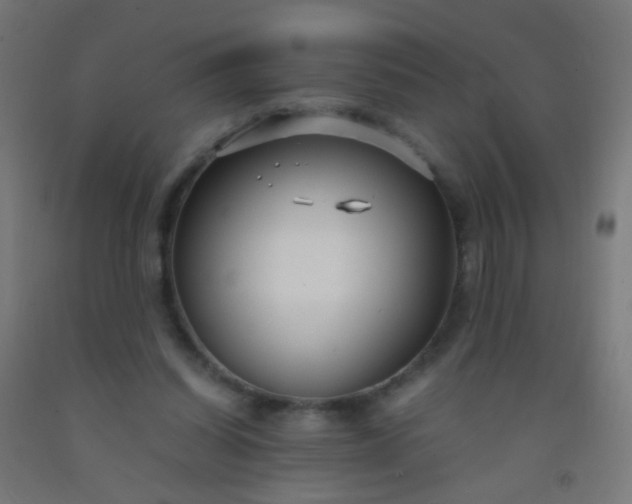 X0000092310254200709281352