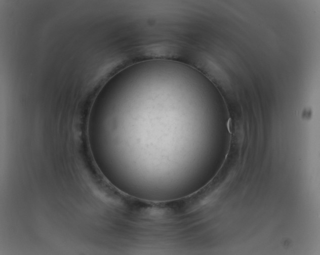 X0000092310255200709281352