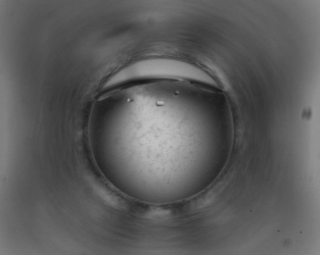 X0000092310257200709281352