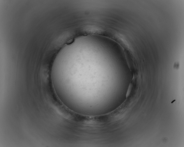 X0000092310259200709281352