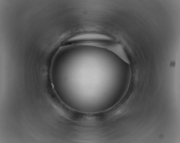 X0000092310260200709281352