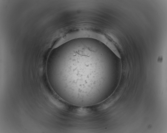 X0000092310261200709281352