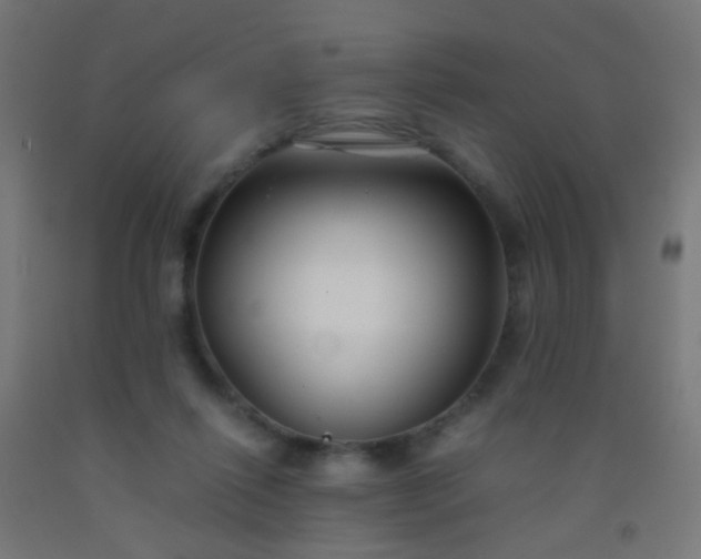 X0000092310262200709281352