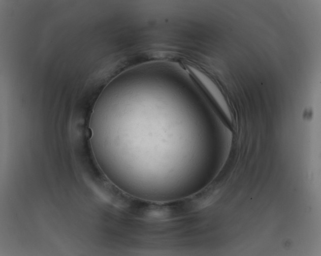 X0000092310263200709281352