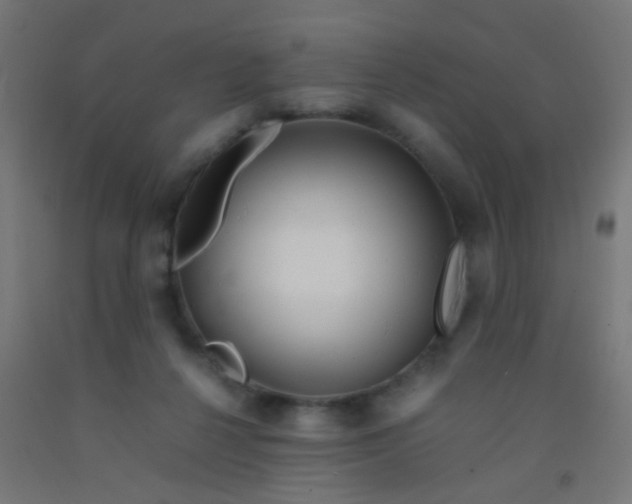 X0000092310264200709281352