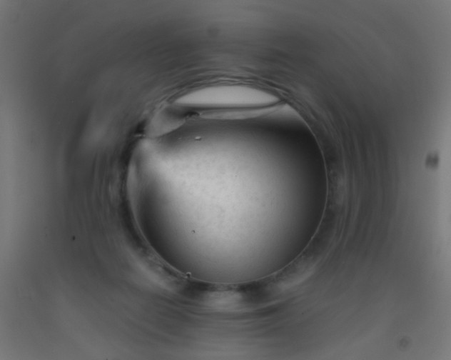 X0000092310266200709281352