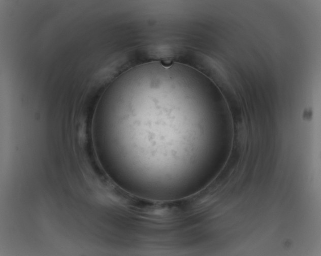 X0000092310267200709281352