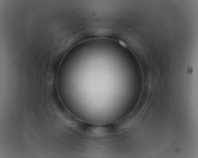 X0000092310268200709281352