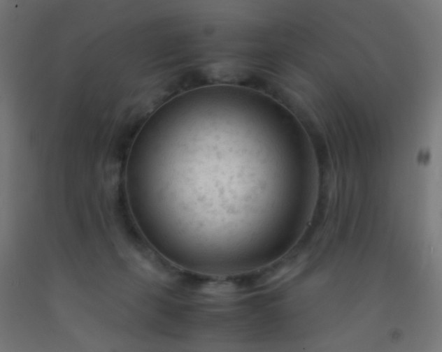 X0000092310271200709281352