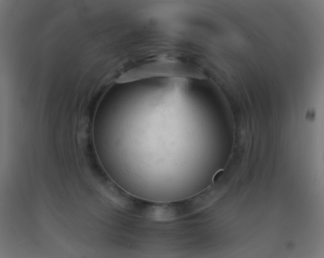X0000092310275200709281352