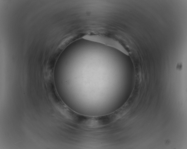 X0000092310276200709281352