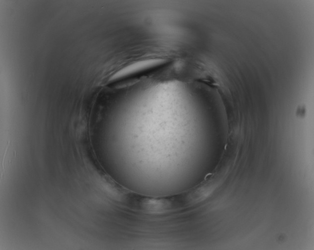 X0000092310277200709281352
