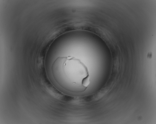 X0000092310278200709281352
