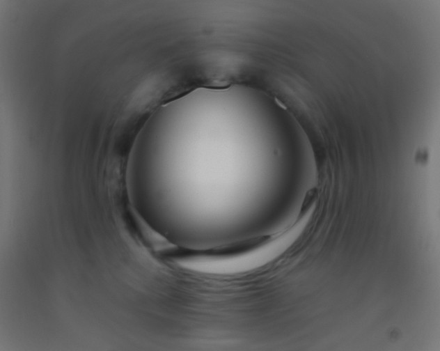 X0000092310280200709281352