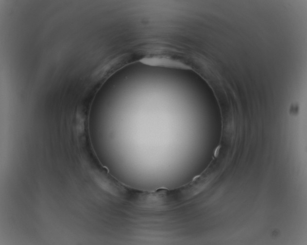 X0000092310282200709281352