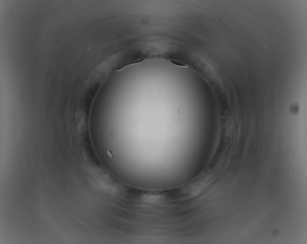 X0000092310283200709281352