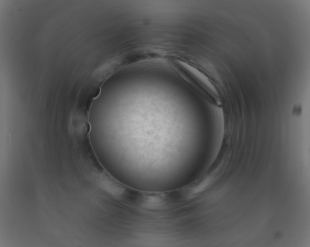 X0000092310285200709281352