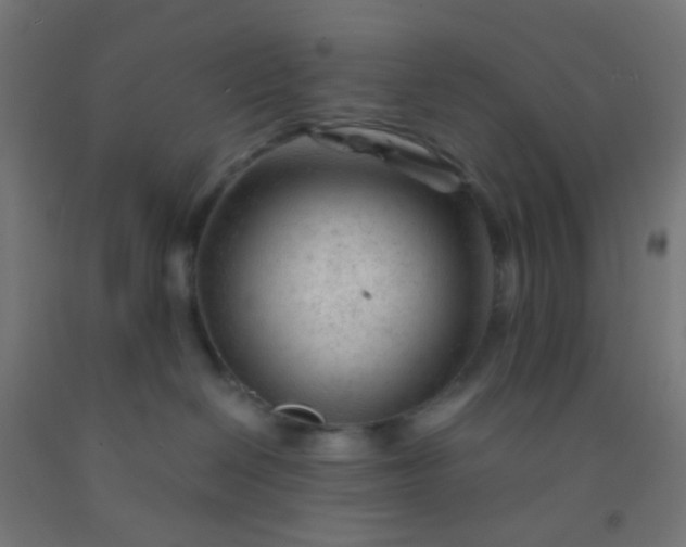 X0000092310286200709281352