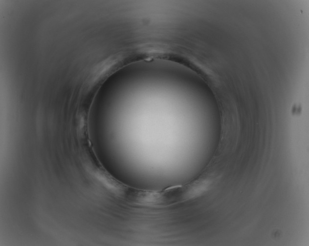 X0000092310288200709281352