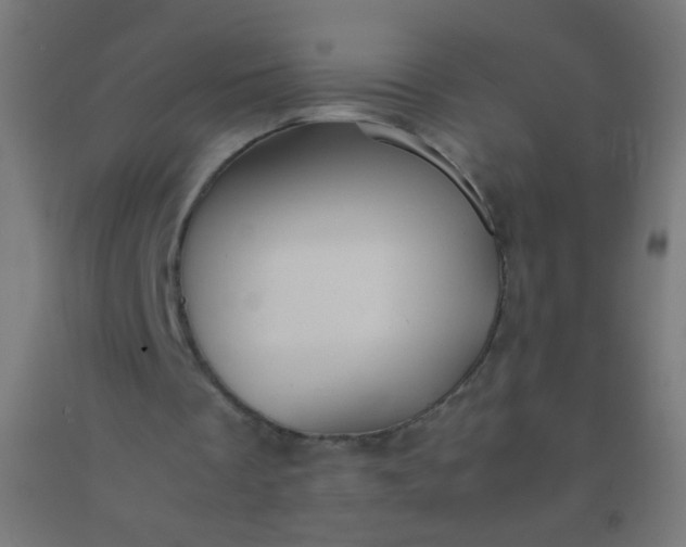 X0000092310289200709281352