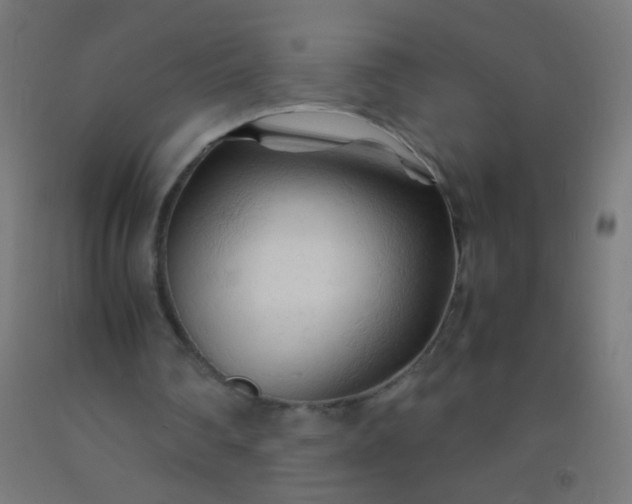X0000092310290200709281352