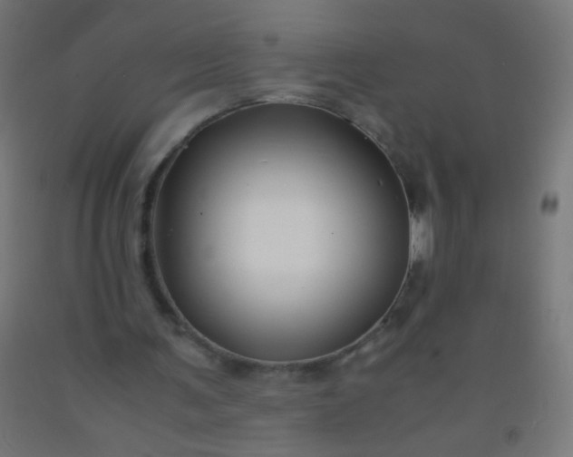 X0000092310291200709281352