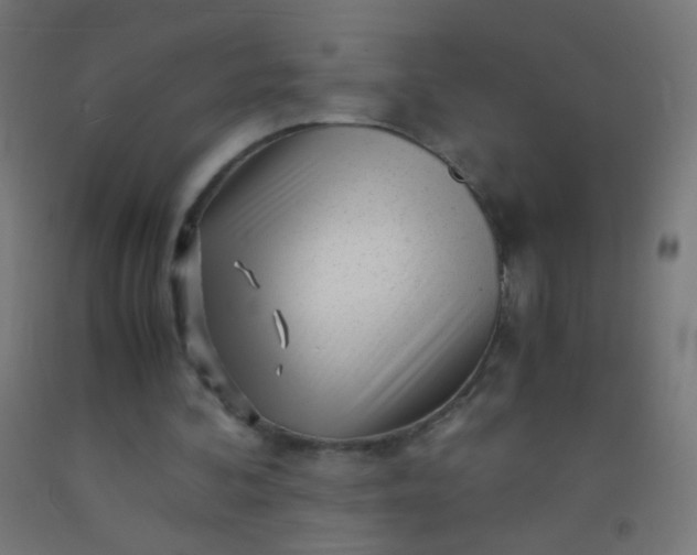 X0000092310292200709281352