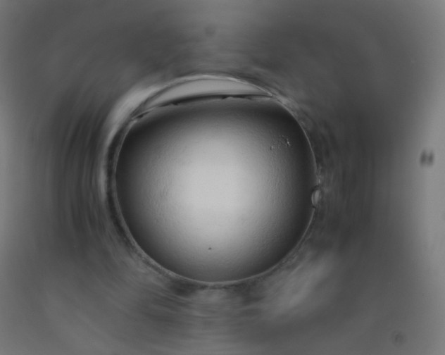X0000092310294200709281352