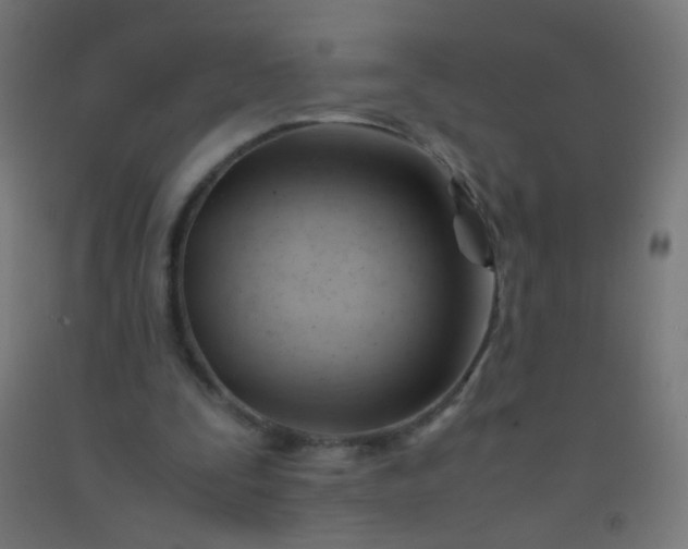 X0000092310295200709281352