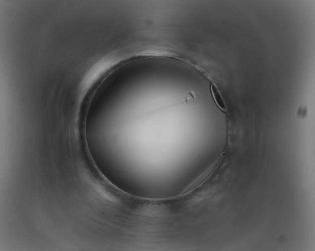 X0000092310296200709281352