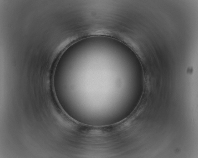 X0000092310298200709281351