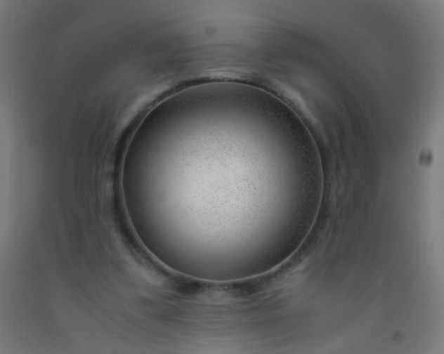 X0000092310299200709281351