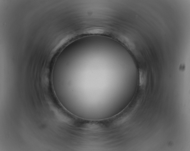 X0000092310300200709281351
