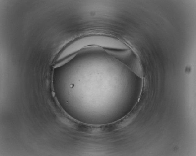 X0000092310301200709281351
