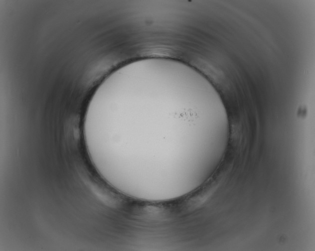 X0000092310302200709281351