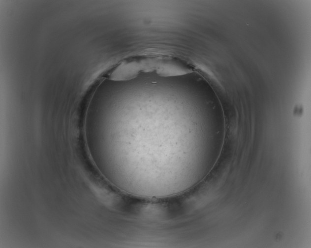 X0000092310303200709281351