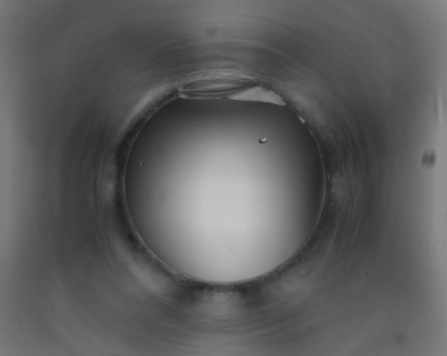 X0000092310304200709281351