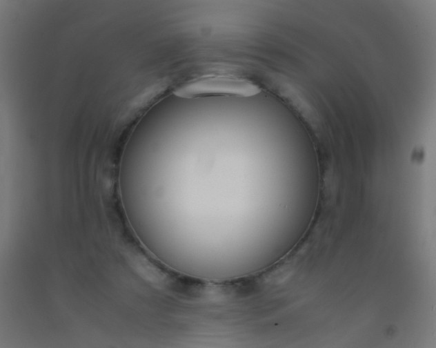 X0000092310305200709281351