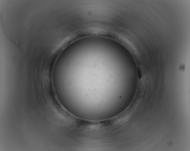 X0000092310306200709281351